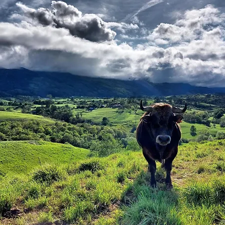 شقة Precioso Atico Con Vistas En El Capricho De Colombres, Asturias كولومبيريز